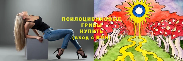 мдпв Белокуриха