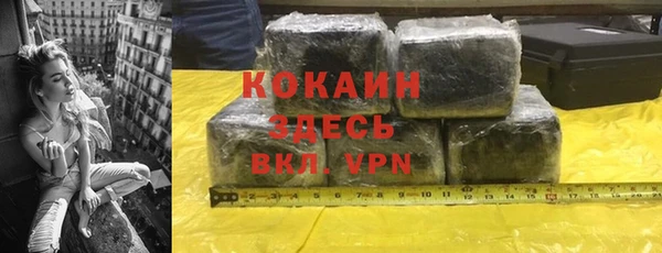 ПСИЛОЦИБИНОВЫЕ ГРИБЫ Пересвет